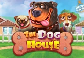 The Dog House